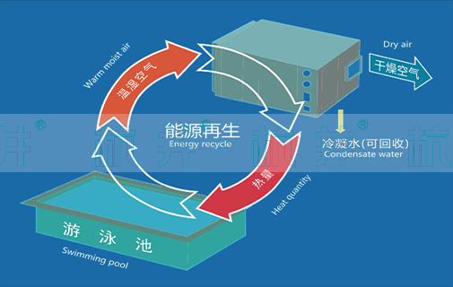 泳池除濕機廠家